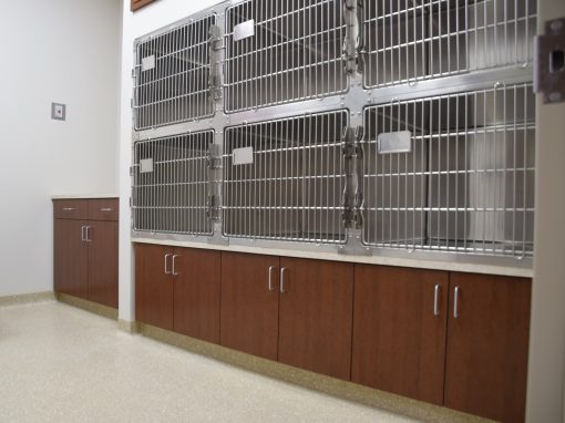 CARE ANIMAL HOSPITAL